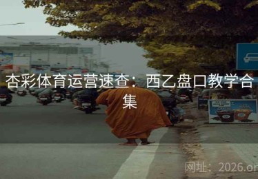 杏彩体育运营速查：西乙盘口教学合集
