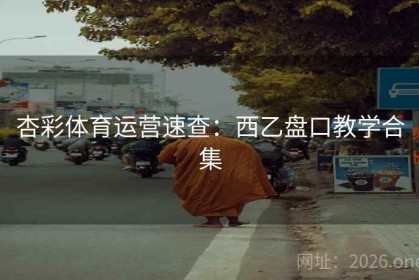 杏彩体育运营速查：西乙盘口教学合集