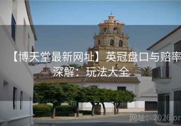 【博天堂最新网址】英冠盘口与赔率深解：玩法大全