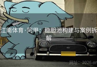 江南体育·阿甲：稳胆池构建与案例拆解