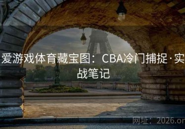 爱游戏体育藏宝图：CBA冷门捕捉·实战笔记