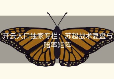 开云入口独家专栏：苏超战术复盘与赔率矩阵