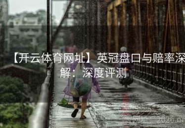 【开云体育网址】英冠盘口与赔率深解：深度评测