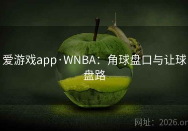 爱游戏app·WNBA：角球盘口与让球盘路