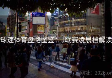 球速体育盘路图鉴：J联赛凌晨档解读