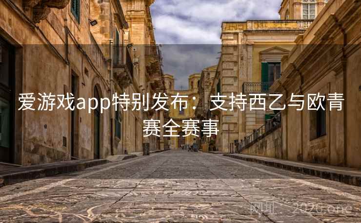 爱游戏app特别发布：支持西乙与欧青赛全赛事