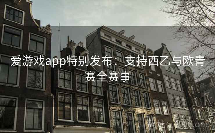 爱游戏app特别发布：支持西乙与欧青赛全赛事