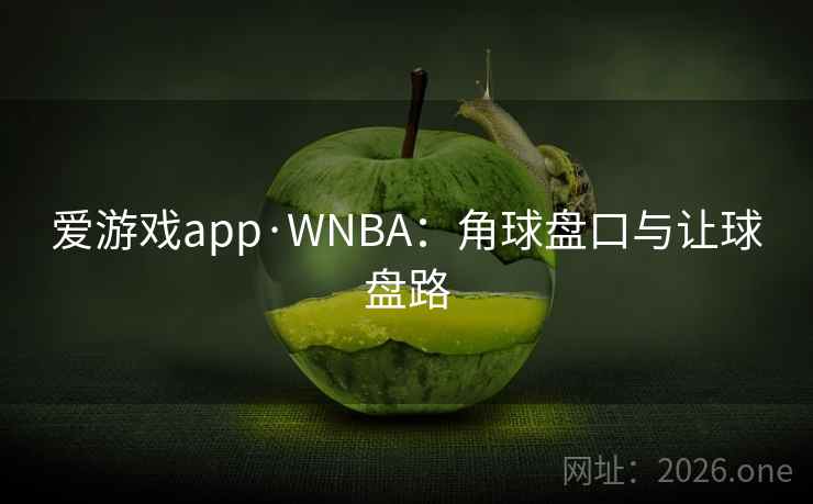 爱游戏app·WNBA：角球盘口与让球盘路